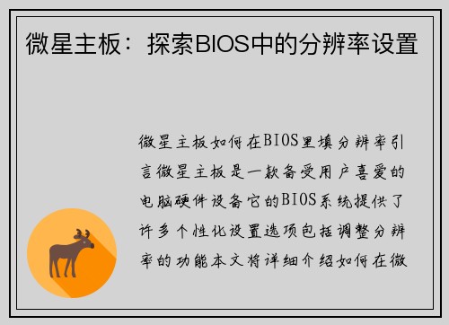 微星主板：探索BIOS中的分辨率设置